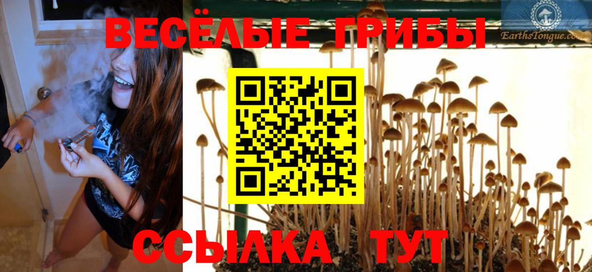 Галлюциногенные грибы GOLDEN TEACHER Еманжелинск
