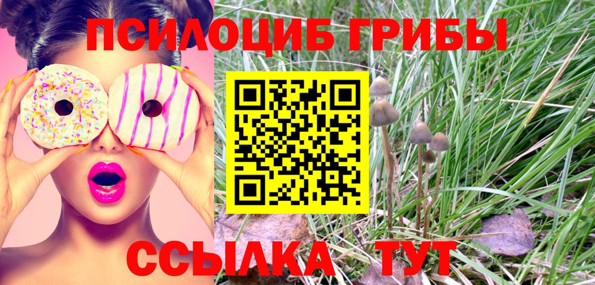 Псилоцибиновые грибы мицелий  Псилоцибиновые грибы Magic Shrooms  Еманжелинск  Вход с VPN 